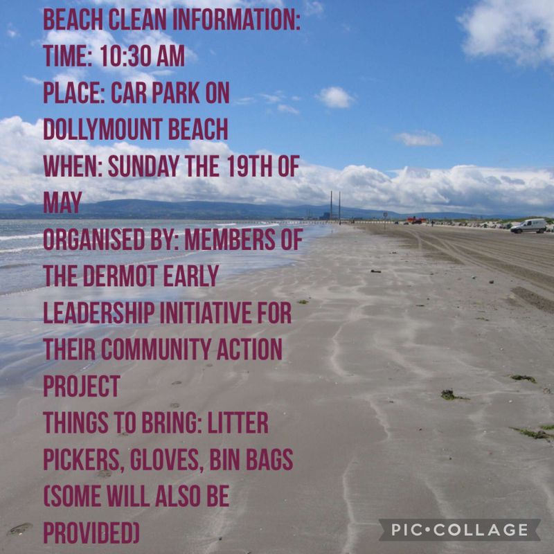 Join the Dermot Early Leadership Programme Community Beach Clean-Up!